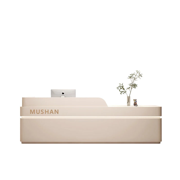 Counter Reception Desk Beauty Salon Lectern Store Check Out Luxury Advisory Register Reception Desk Shop Recepcja Bar Furniture