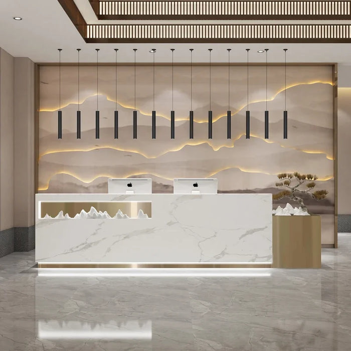 Service Modern Reception Desks Cashier Podium Futuristic Restaurant Reception Desks Standing Escritorio Gamer Salon Furniture