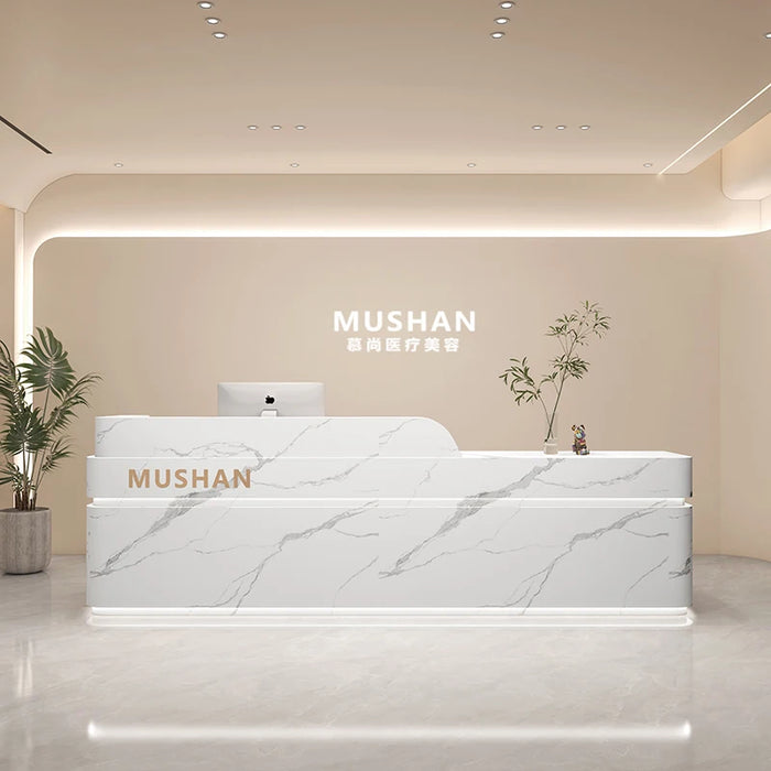 Counter Reception Desk Beauty Salon Lectern Store Check Out Luxury Advisory Register Reception Desk Shop Recepcja Bar Furniture