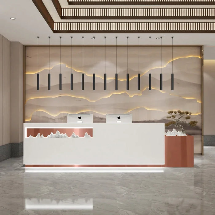Service Modern Reception Desks Cashier Podium Futuristic Restaurant Reception Desks Standing Escritorio Gamer Salon Furniture