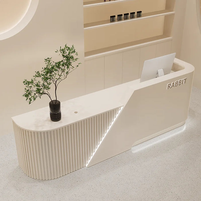 Register Lecture Reception Desk Display Cash Clothing Modern Bar Reception Desk Front Mostrador Recepcion Office Furniture