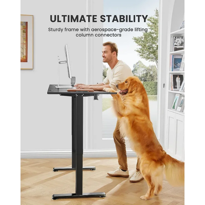 Ergear Height Adjustable Electric Standing Desk, 48 x 24 Inches Sit Stand up Desk, Memory Computer Home Office Desk