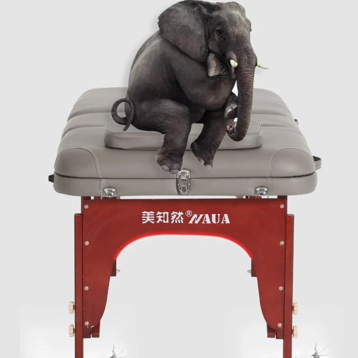 Stretcher Folding Massage Bed Portable Aesthetics Beauty Couch Massage Bed Treatment Spa Lit Pliant Salon Furniture LJ50MB