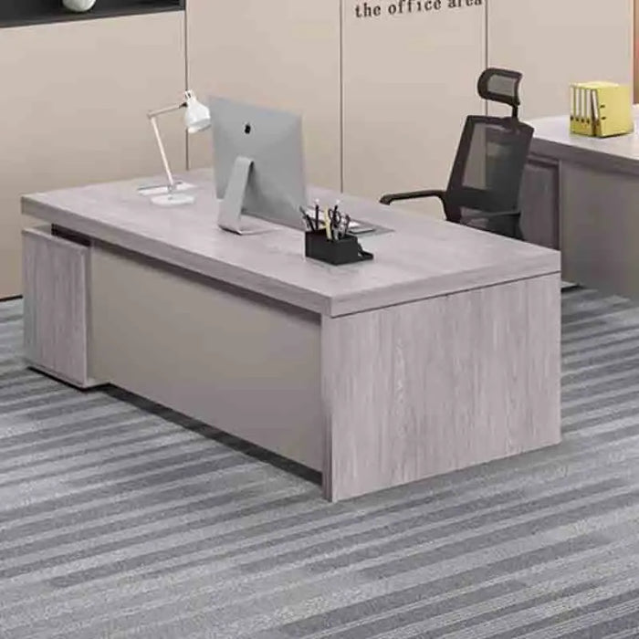 Computer Reception Office Desks Executive Laptop Reading Storage Office Desks Modern Standing Scrivania Ufficio Lavoro Furniture