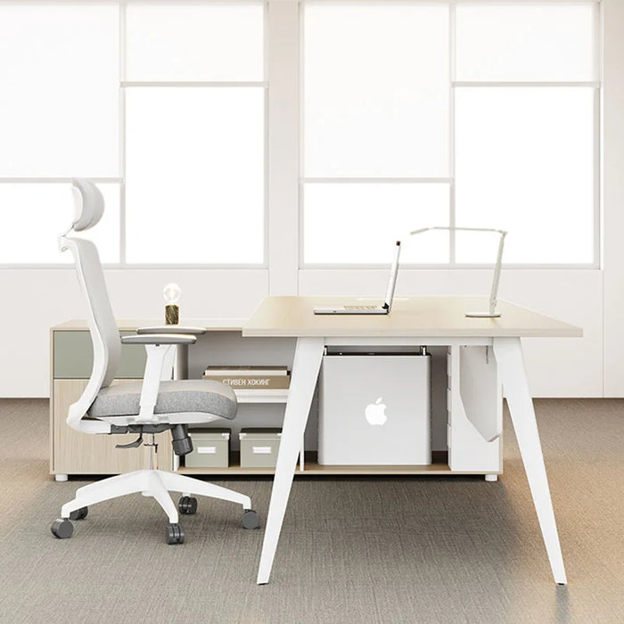 Executive Storage Study Desk Writing Lap Setup Modern Office Desks Folding Student Escritorio Con Cajones Office Desk Furniture