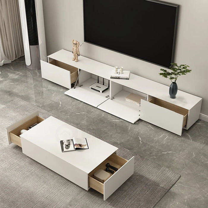 Modern Display TV Stands Consoles Table Mid Century Center TV Stands Plant Fireplace Mobili Per La Casa Living Room Furniture
