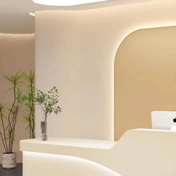 Lectern Front Reception Desks Luxury Shop Checkout Modern Information Counter Table Reception Desks White Mostrador Furniture