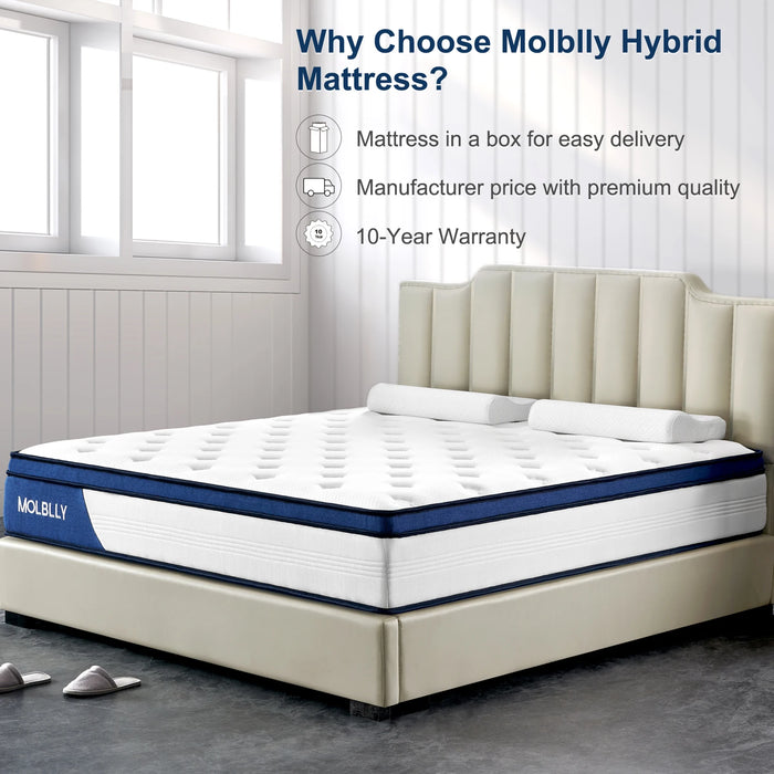 Molblly 10 Inch Back Pain Relief& Cool Queen Bed Innerspring Mattress