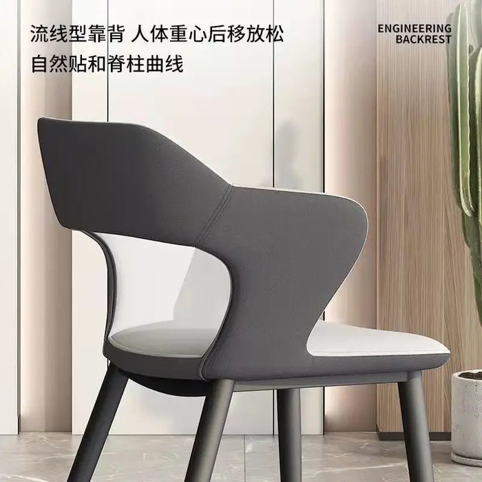 Light Luxury Dining Chair Modern Minimalist Home Net Red Backrest Desk Hotel Living Room Chair Nordic Art Dining Chair Furniture
