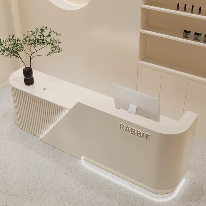 Register Lecture Reception Desk Display Cash Clothing Modern Bar Reception Desk Front Mostrador Recepcion Office Furniture