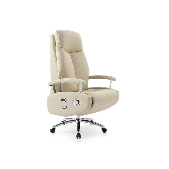 Executive Throne Vanity Office Chairs Lounge Comfortable Ergonomic Office Chairs Computer Design Cadeira Home Office SY50OC
