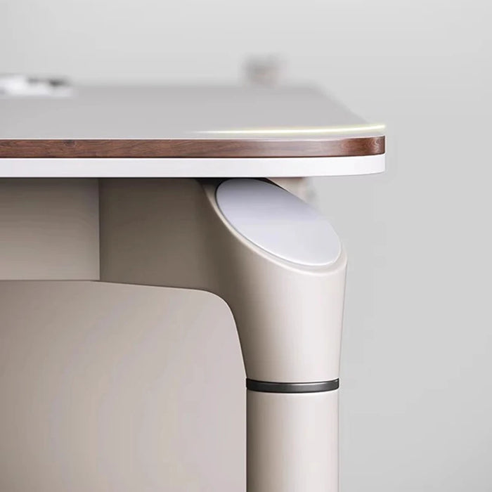 Nordic Modern Office Desk Studio Wooden Set Fashion Professional Drawers Luxury Desk Tables Small Muebles De Oficina Furniture