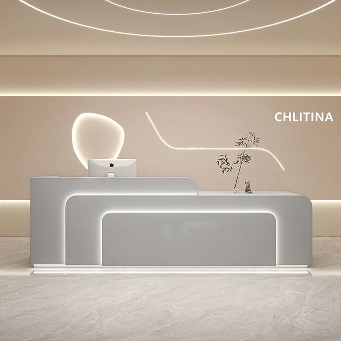 Cashier Reception Desk Beauty Salon Cash Register Table Modern Futuristic Desk Commercial Cocktail Bar Counter Muebles Furniture
