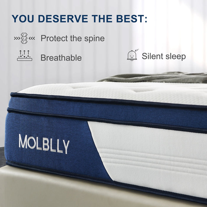 Molblly 10 Inch Back Pain Relief& Cool Queen Bed Innerspring Mattress