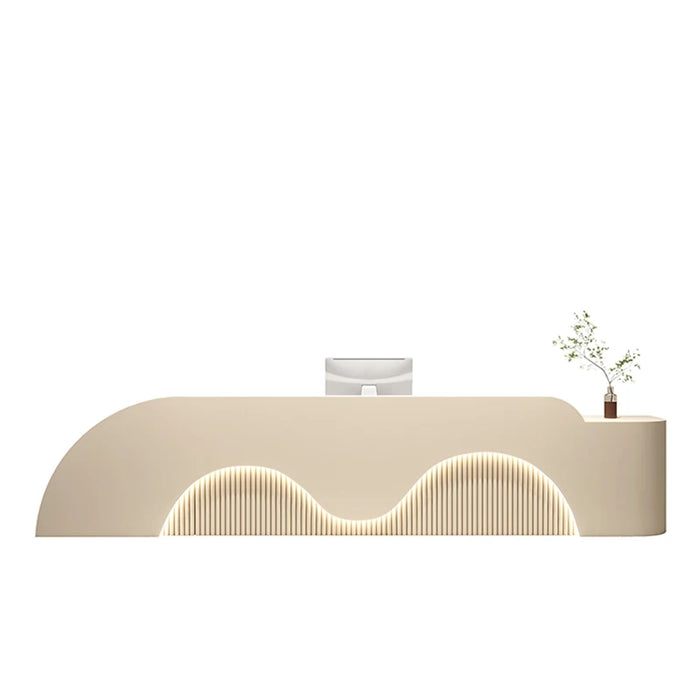 Store Shopping Reception Desk Cash Modern Display Front Beauty Reception Desk Salon Comptoir De Caisse Boutique Shop Furniture