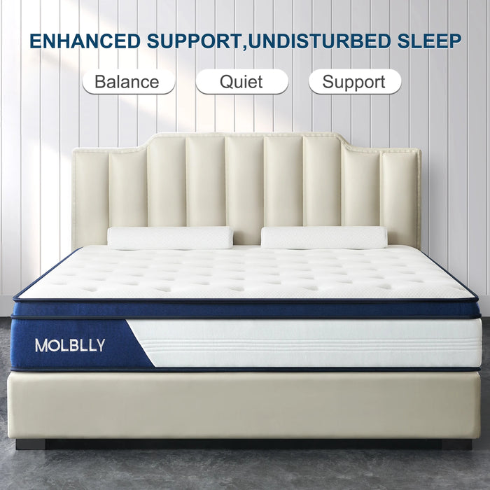 Molblly 10 Inch Back Pain Relief& Cool Queen Bed Innerspring Mattress