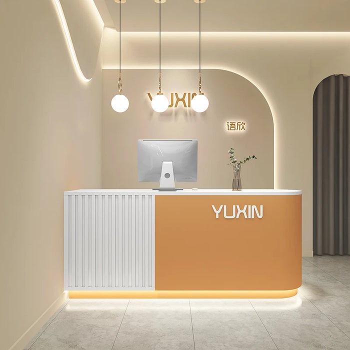 Executive Modern Reception Desks Front Computer Futuristic Shop Reception Desks Mobile Bureau Meuble Minimalist Furniture