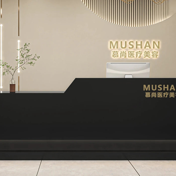 Cashier Check Reception Desk Lectern Luxury Mobile Stainless Reception Desk Information Gym Comptoir De Caisse Bar Furniture