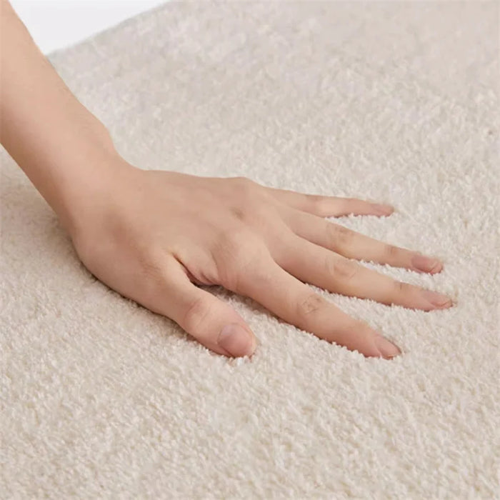 Japanese Light Luxury Living Room Decoration Carpet Modern Bedroom Bedside Plush Non-slip Carpets Home Cloakroom Fluffy Soft Rug