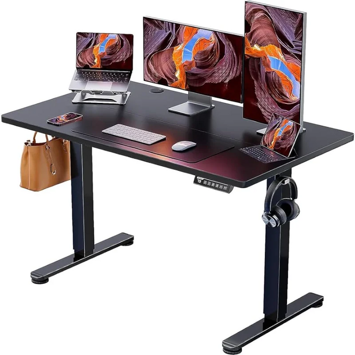Ergear Height Adjustable Electric Standing Desk, 48 x 24 Inches Sit Stand up Desk, Memory Computer Home Office Desk