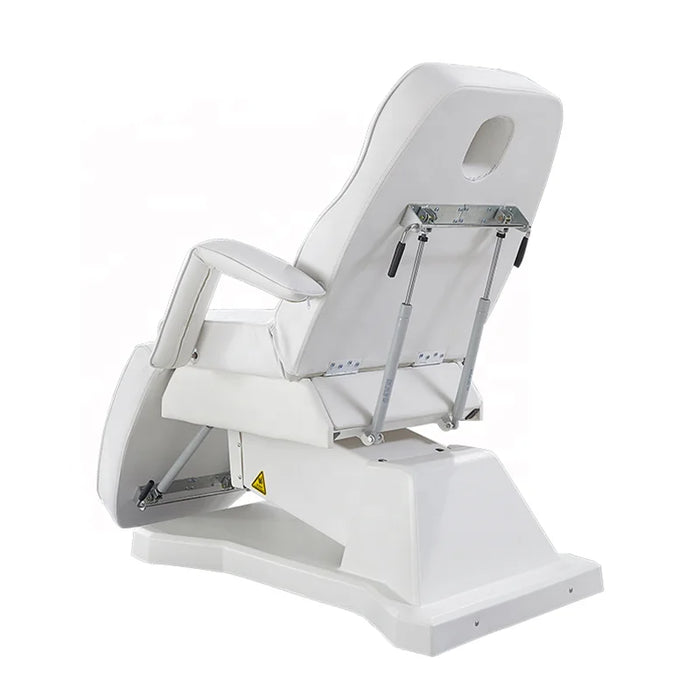 3 Motor Electrical Facial Beauty Massage Spa Podiatry Bed Medical Dental Chair