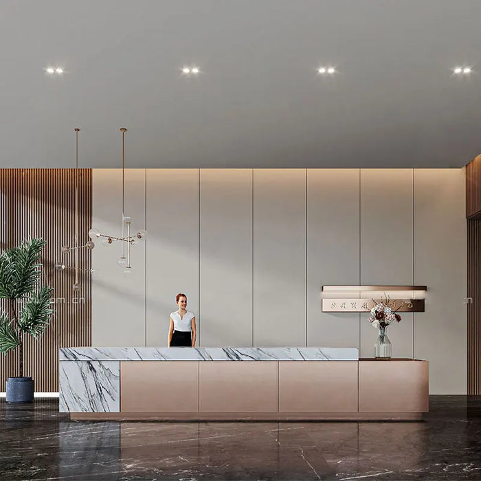 Consable Cashier Reception Desk Modern Garden Coffee Reception Desk Vanity Spa Counter Escritorios De Ordenador Office Furniture