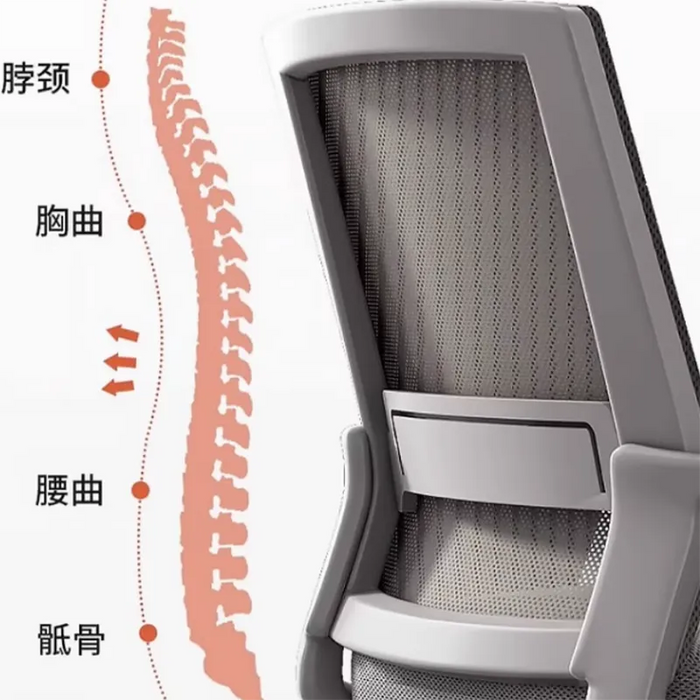 Nordic Home Office Chair Ergonomic Bedroom School Youth Conference Study Chair Working Hand Silla De Oficina Office Supplies
