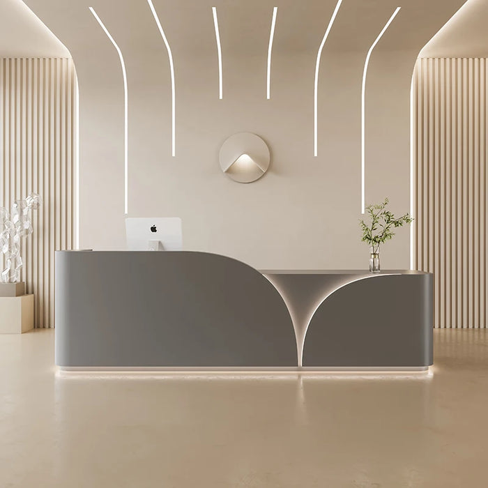Standing Shop Reception Desks Lectern European Counter Commercial Reception Desks Restaurant Bureau Meuble Minimalist Furniture