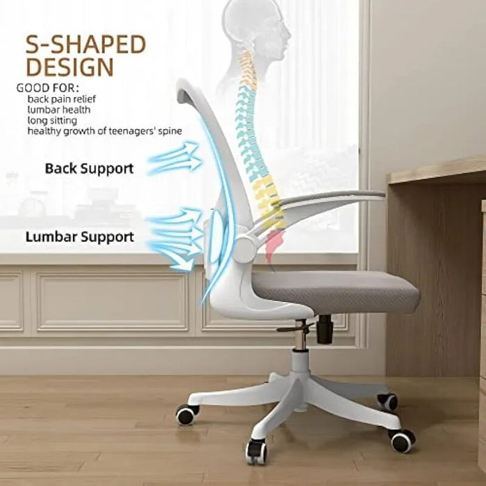 Monhey Desk Computer Chairs - Ergonomic with Lumbar Support & Flip-up Arms Home Office Height Adjustable High Back